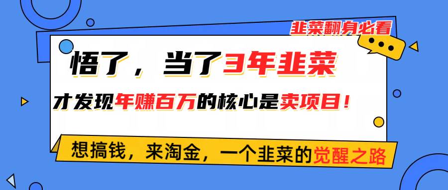 悟了，当了3年韭菜，才发现网赚圈年赚100万的核心是卖项目，含泪分享！-亿起创业网-副业兼职月入过万-自媒体、引流推广、网赚项目、短视频、技术教程等创业项目资源