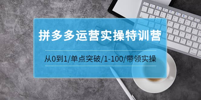 拼多多运营实操特训营:从0到1/单点突破/1-100/带领实操 价值2980元-亿起创业网-副业兼职月入过万-自媒体、引流推广、网赚项目、短视频、技术教程等创业项目资源