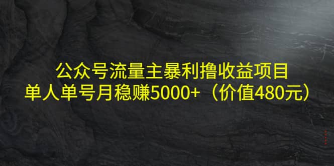 公众号流量主暴利撸收益项目,单人单号月稳赚5000+(价值480元)-亿起创业网-副业兼职月入过万-自媒体、引流推广、网赚项目、短视频、技术教程等创业项目资源