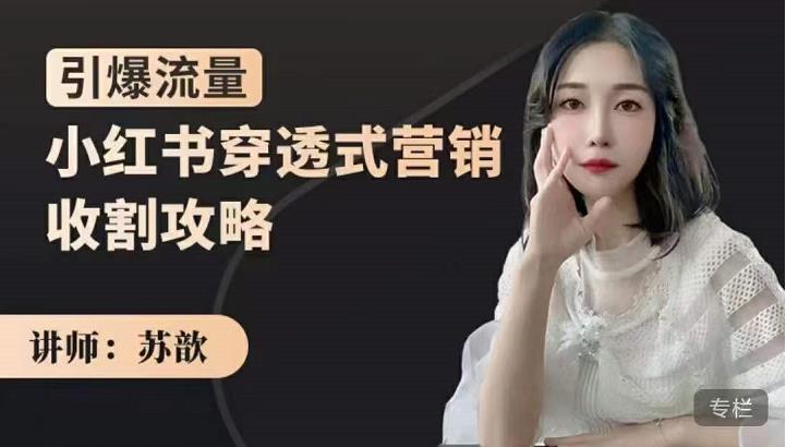 小红书穿透式营销收割攻略，引爆流量，助你玩转小红书-亿盟网-副业月入过万