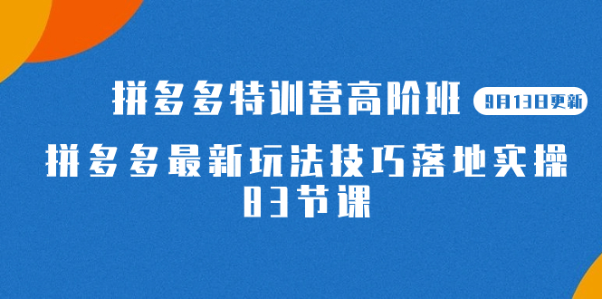 2023拼多多·特训营高阶班【9月13日更新】拼多多最新玩法技巧落地实操-83节-亿盟网-副业月入过万