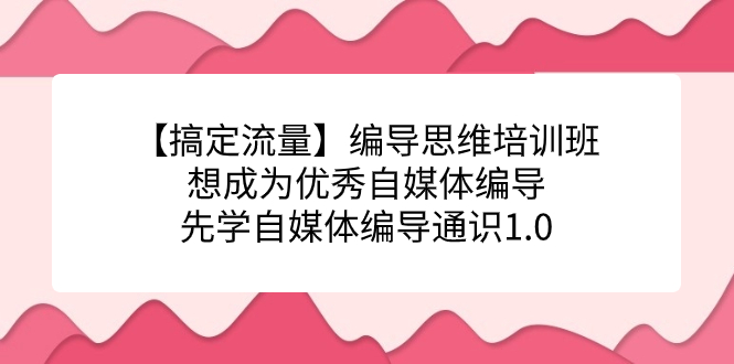 【搞定流量】编导思维培训班,想成为优秀自媒体编导先学自媒体编导通识1.0-亿盟网-副业月入过万