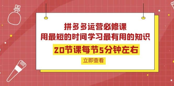 拼多多运营必修课:20节课每节5分钟左右,用最短的时间学习最有用的知识-亿起创业网-副业兼职月入过万-自媒体、引流推广、网赚项目、短视频、技术教程等创业项目资源