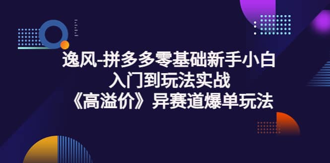 拼多多零基础新手小白入门到玩法实战《高溢价》异赛道爆单玩法实操课-亿起创业网-副业兼职月入过万-自媒体、引流推广、网赚项目、短视频、技术教程等创业项目资源