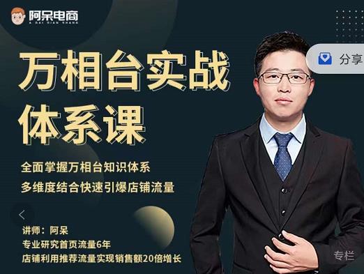 阿呆-万相台实战体系课，帮您全面掌握万相台知识体系-亿盟网-副业月入过万