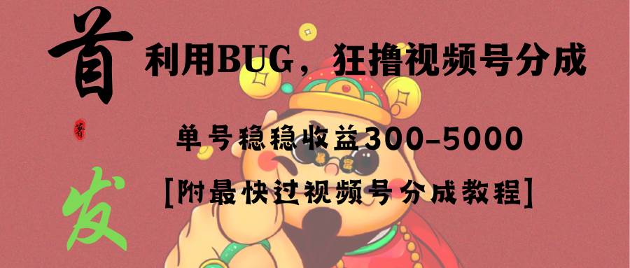 全网独家首发,视频号BUG,超短期项目,单号每日净收益300-5000!-亿盟网-副业月入过万