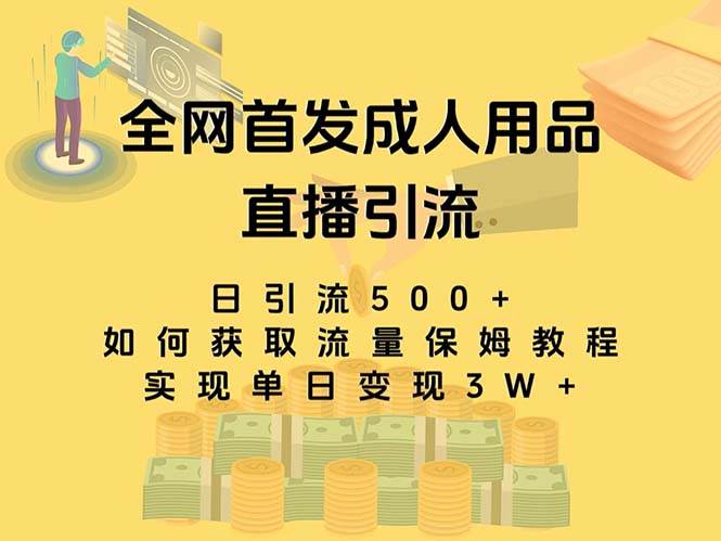 最新全网独创首发，成人用品直播引流获客暴力玩法，单日变现3w保姆级教程-亿起创业网-副业兼职月入过万-自媒体、引流推广、网赚项目、短视频、技术教程等创业项目资源