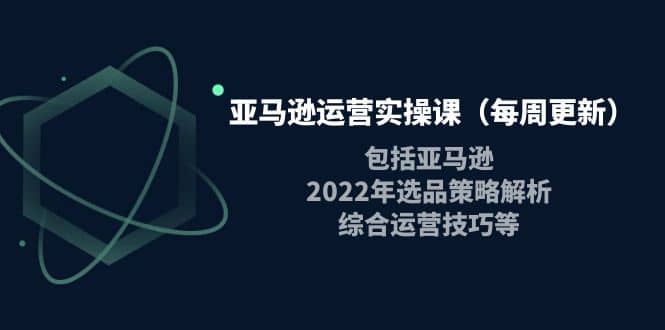 亚马逊运营实操课（每周更新）包括亚马逊2022选品策略解析，综合运营技巧等-亿起创业网-副业兼职月入过万-自媒体、引流推广、网赚项目、短视频、技术教程等创业项目资源