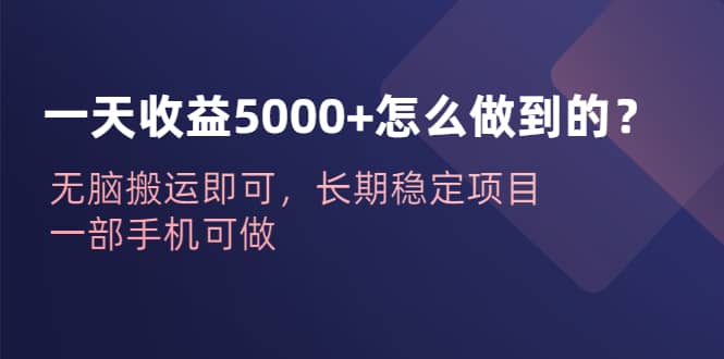 一天收益5000+怎么做到的？无脑搬运即可，长期稳定项目，一部手机可做-亿盟网-副业月入过万