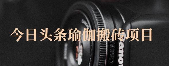 猎人社区·今日头条瑜伽搬砖项目,单号一天几十收入,可以批量操作!-亿盟网-副业月入过万