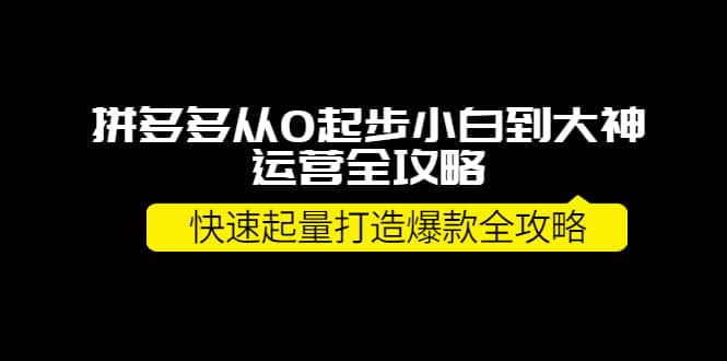 拼多多从0起步小白到大神运营全攻略-亿盟网-副业月入过万