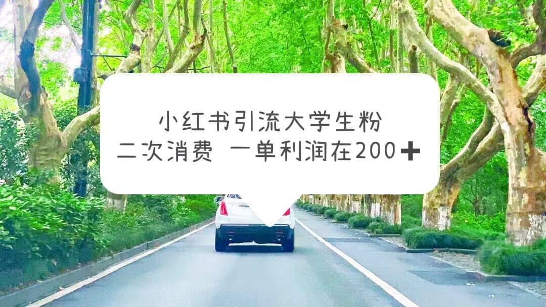 小红书引流大学生粉，变现项目，一单利润在200+（教程+资源）-亿盟网-副业月入过万