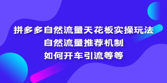 拼多多自然流量天花板实操玩法:自然流量推荐机制,如何开车引流等等-亿起创业网-副业兼职月入过万-自媒体、引流推广、网赚项目、短视频、技术教程等创业项目资源