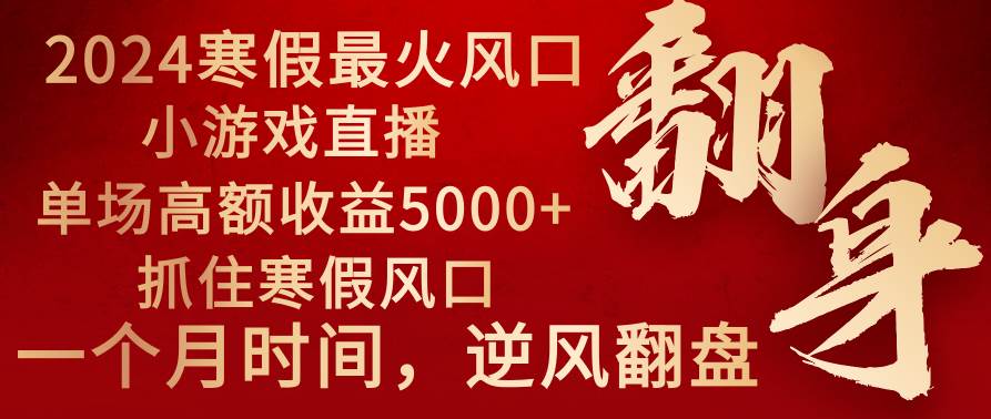 2024年最火寒假风口项目 小游戏直播 单场收益5000+抓住风口 一个月直接提车-亿盟网-副业月入过万