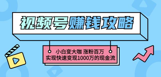 玩转微信视频号赚钱：小白变大咖涨粉百万实现快速变现1000万的现金流-亿盟网-副业月入过万