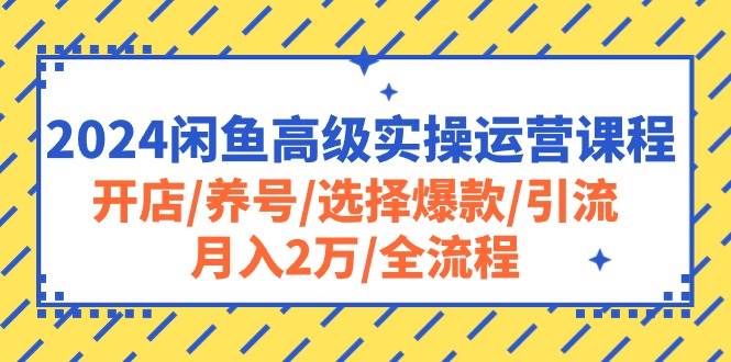 2024闲鱼高级实操运营课程：开店/养号/选择爆款/引流/月入2万/全流程-亿盟网-副业月入过万