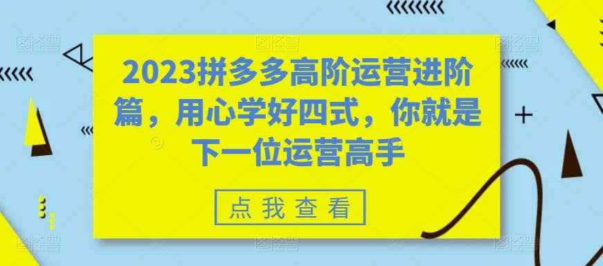 2023拼多多高阶运营进阶篇，用心学好四式，你就是下一位运营高手-亿起创业网-副业兼职月入过万