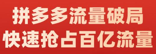 阿杰·拼多多流量破局:如何打黑标,爆款的思路,拼多多流量框架,快速抢占百亿流量-亿盟网-副业月入过万