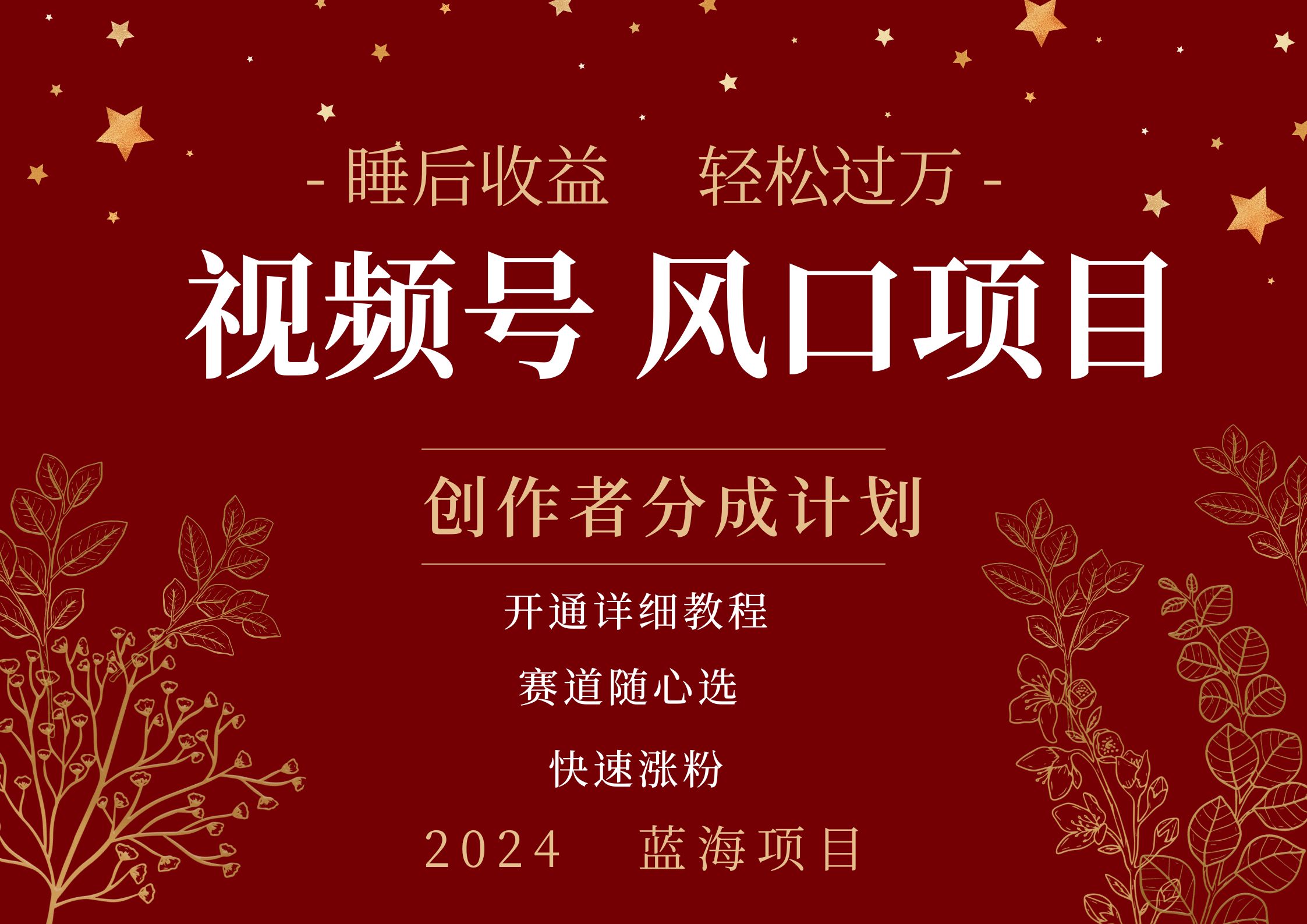 拥有睡眠收益的微信视频号大风口项目，轻松月入过万+，多赛道选择，可矩阵，玩法简单轻松上手-亿起创业网-副业兼职月入过万