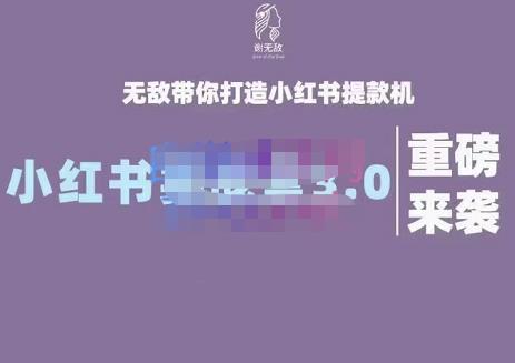 谢无敌·小红书实战营3.0,无敌带你打造小红书提款机 价值7999元-亿盟网-副业月入过万