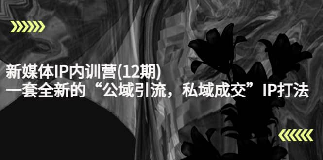 新媒体IP内训营(12期)，一套全新的“公域引流，私域成交”IP打法，直接带走-亿起创业网-副业兼职月入过万-自媒体、引流推广、网赚项目、短视频、技术教程等创业项目资源