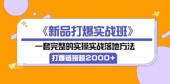 《新品打爆实战班》一套完整的实操实战落地方法,打爆链接超2000+(38节课)-亿盟网-副业月入过万