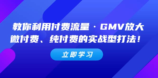 教你利用付费流量·GMV放大，微付费、纯付费的实战型打法-亿盟网-副业月入过万