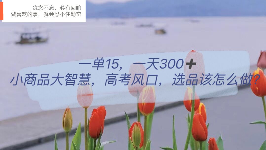一单15，一天300+，小商品大智慧，高考风口，选品该怎么布局-亿盟网-副业月入过万