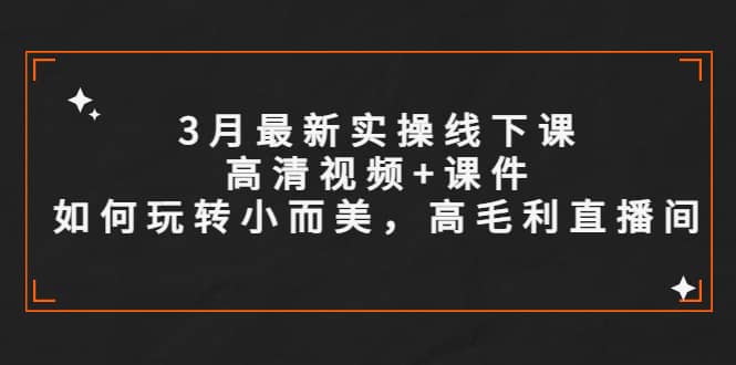 3月最新实操线下课高清视频+课件,如何玩转小而美,高毛利直播间-亿起创业网-副业兼职月入过万-自媒体、引流推广、网赚项目、短视频、技术教程等创业项目资源