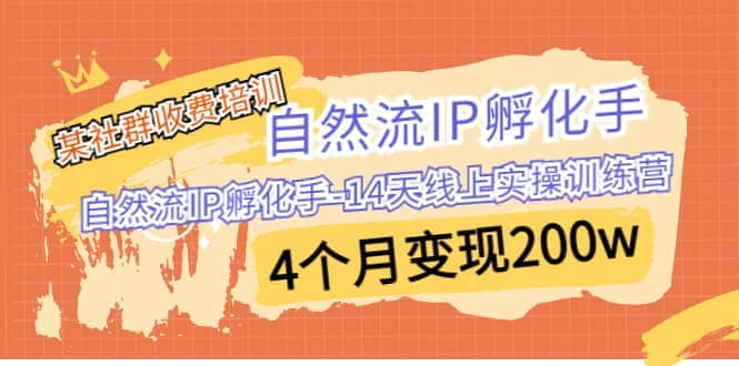 某社群收费培训:自然流IP 孵化手-14天线上实操训练营 4个月变现200w-亿盟网-副业月入过万