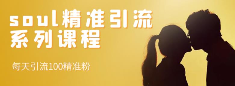 soul精准引流系列课程,每天引流100精准粉-亿盟网-副业月入过万
