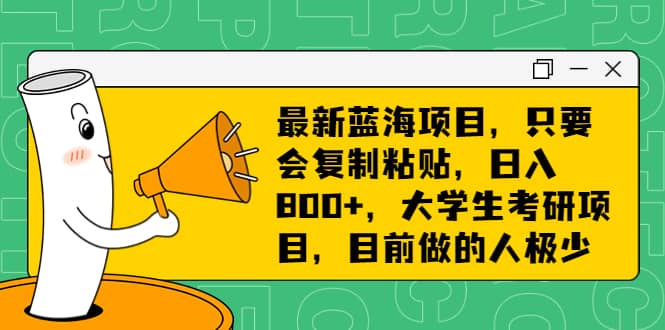 最新蓝海项目,只要会复制粘贴,日入800+,大学生考研项目,目前做的人极少-亿盟网-副业月入过万