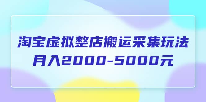 淘宝虚拟整店搬运采集玩法分享课：月入2000-5000元（5节课）-亿盟网-副业月入过万