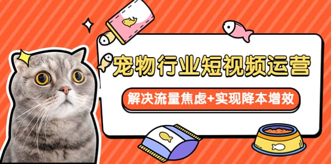 宠物/行业短视频运营 流量增长的一层窗户纸 解决流量焦虑+实现降本增效-亿盟网-副业月入过万