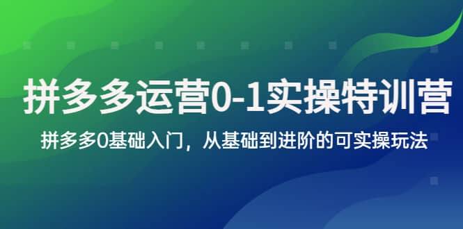 拼多多-运营0-1实操训练营，拼多多0基础入门，从基础到进阶的可实操玩法-亿起创业网-副业兼职月入过万-自媒体、引流推广、网赚项目、短视频、技术教程等创业项目资源