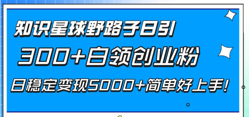 知识星球野路子日引300+白领创业粉，日稳定变现5000+简单好上手！-亿盟网-副业月入过万
