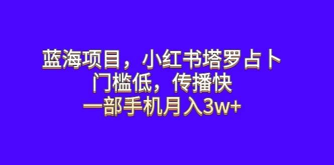 蓝海项目，小红书塔罗占卜，门槛低，传播快，一部手机月入3w+-亿盟网-副业月入过万