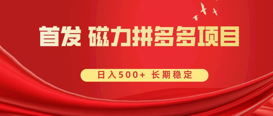 首发 磁力拼多多自撸  日入500+-亿盟网-副业月入过万