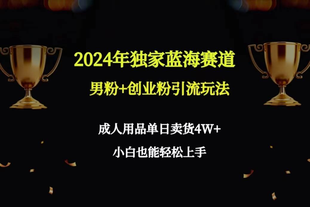 2024年独家蓝海赛道男粉+创业粉引流玩法，成人用品单日卖货4W+保姆教程-亿起创业网-副业兼职月入过万-自媒体、引流推广、网赚项目、短视频、技术教程等创业项目资源
