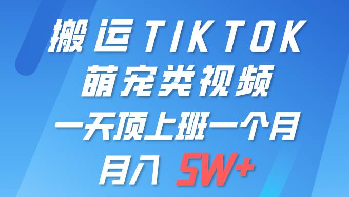 一键搬运TIKTOK萌宠类视频 一部手机即可操作 所有平台均可发布 轻松月入5W+-亿起创业网-副业兼职月入过万-自媒体、引流推广、网赚项目、短视频、技术教程等创业项目资源