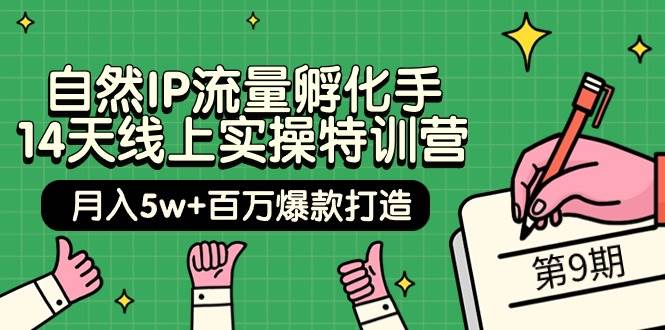 自然IP流量孵化手 14天线上实操特训营【第9期】月入5w+百万爆款打造 (74节)-亿盟网-副业月入过万