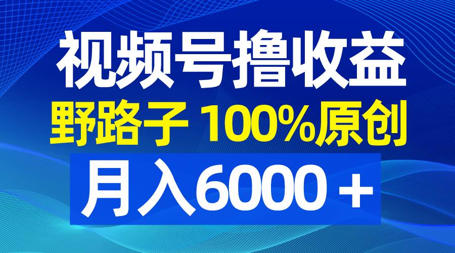 视频号野路子撸收益，100%原创，条条爆款，月入6000＋-亿盟网-副业月入过万