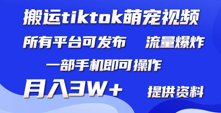 搬运Tiktok萌宠类视频，一部手机即可。所有短视频平台均可操作，月入3W+-亿起创业网-副业兼职月入过万-自媒体、引流推广、网赚项目、短视频、技术教程等创业项目资源