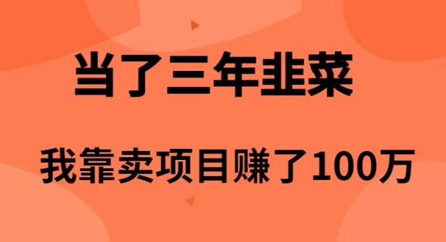 当了3年韭菜，我靠卖项目赚了100万-亿起创业网-副业兼职月入过万-自媒体、引流推广、网赚项目、短视频、技术教程等创业项目资源