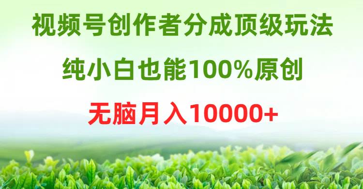 视频号创作者分成顶级玩法，纯小白也能100%原创，无脑月入10000+-亿起创业网-副业兼职月入过万-自媒体、引流推广、网赚项目、短视频、技术教程等创业项目资源