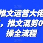 小说推文运营大佬干货分享，推文混剪0-1实操全流程-亿佰盟网