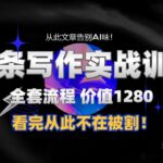11月最新头条1280付费课程,手把手教你日入300+ 教你写一篇没有“AI味的文章”,附赠独家指令-亿佰盟网