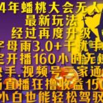 2024年蟠桃大会无人直播最新玩法，稳定开播160小时无违规，抖音、快手、视频号三家通用玩法-亿佰盟网