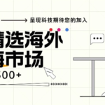 海外全新空白市场，小白也可轻松上手，年底最后红利-亿佰盟网