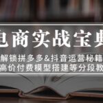 电商实战宝典 解锁拼多多&抖音运营秘籍 含高价付费模型搭建等分段教学-亿佰盟网